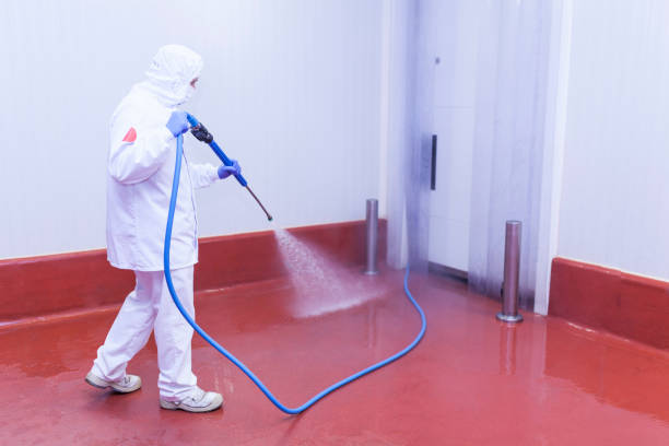 Best Building Exterior Washing  in Brielle, NJ